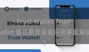 Trust Wallet Trust Wallet 昔日是否会复旧更多区块链？