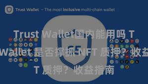 Trust Wallet国内能用吗 Trust Wallet 是否撑抓 NFT 质押？收益指南