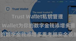 Trust Wallet私钥管理 若何通过Trust Wallet为你的数字金钱添增多重考据安全设施？