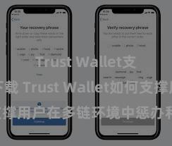 Trust Wallet支持多链下载 Trust Wallet如何支撑用户在多链环境中惩办和兑换钞票？