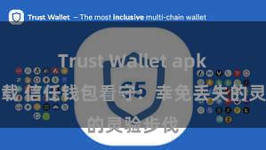 Trust Wallet apk官方下载 信任钱包看守：幸免丢失的灵验步伐