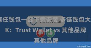 信任钱包一键下载安装 多链钱包大PK：Trust Wallet vs 其他品牌